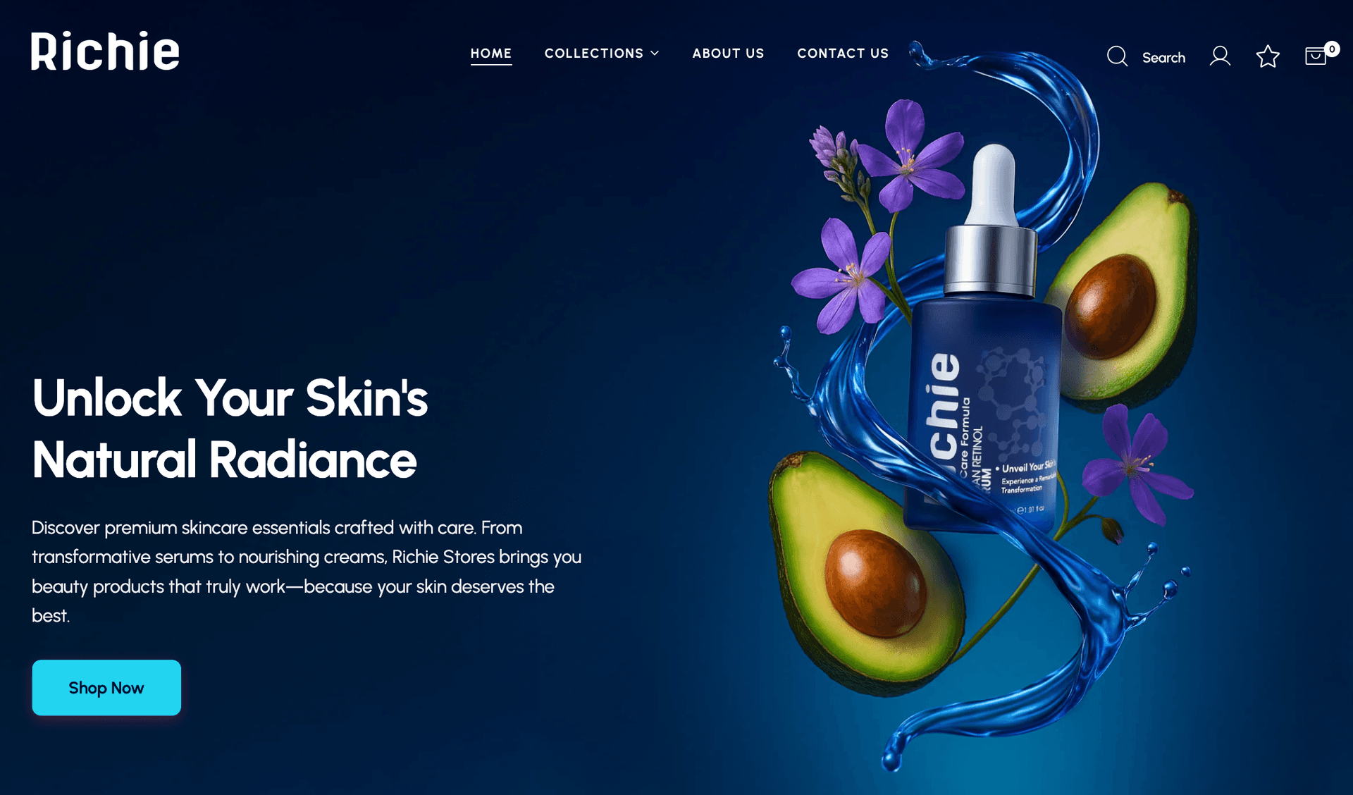 Richie Stores interface